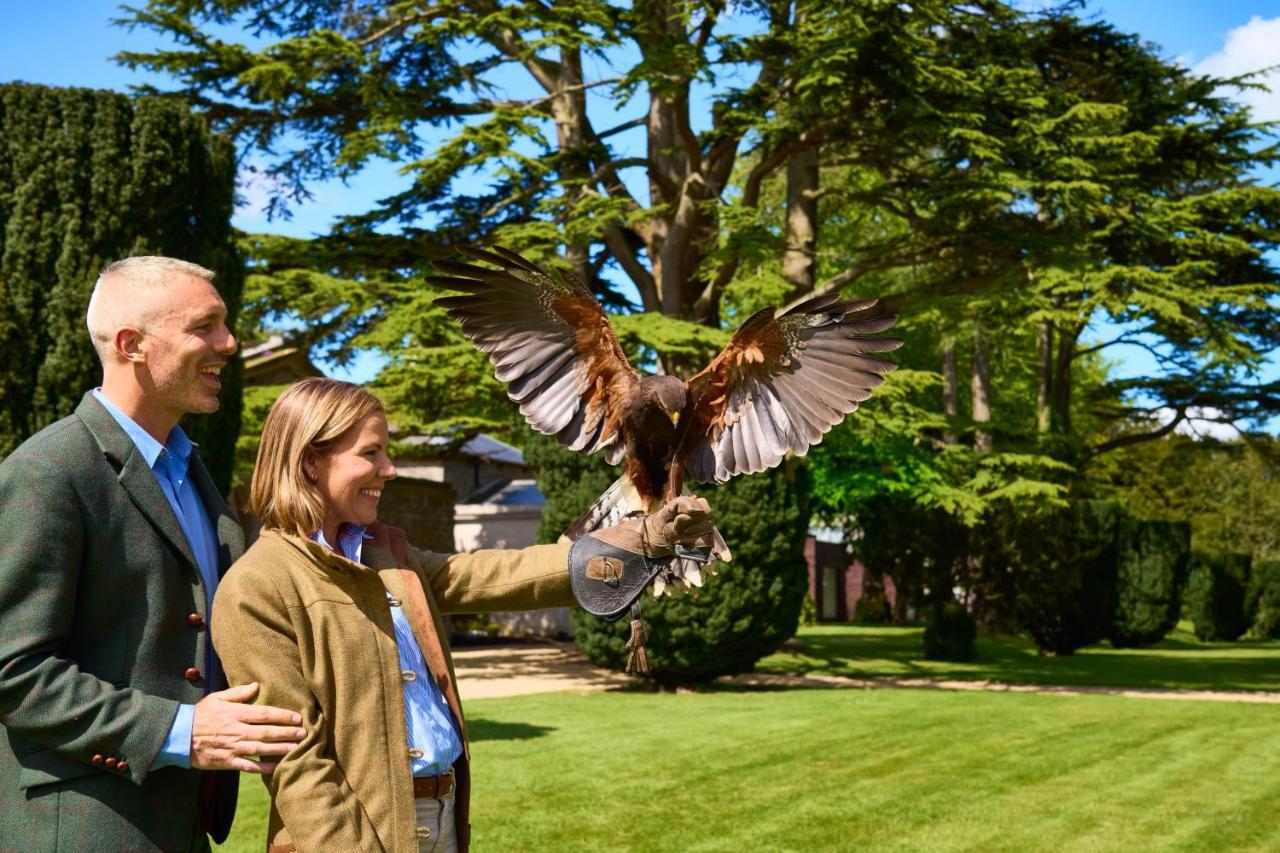 Carton House A Fairmont Managed Hotel Maynooth Exteriör bild Visitors at the Hawk Conservancy Trust