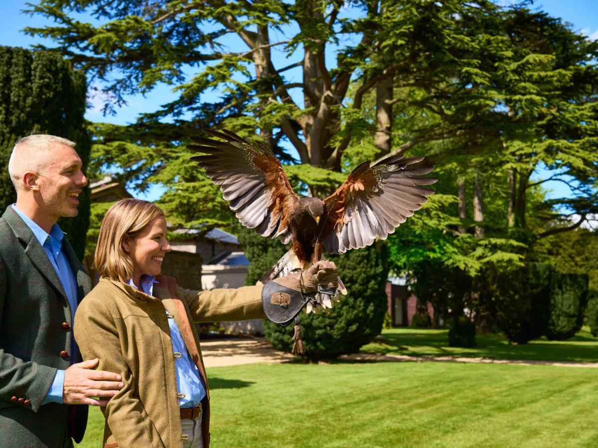 Carton House A Fairmont Managed Hotel Maynooth Exteriör bild Falconry at the London Zoo