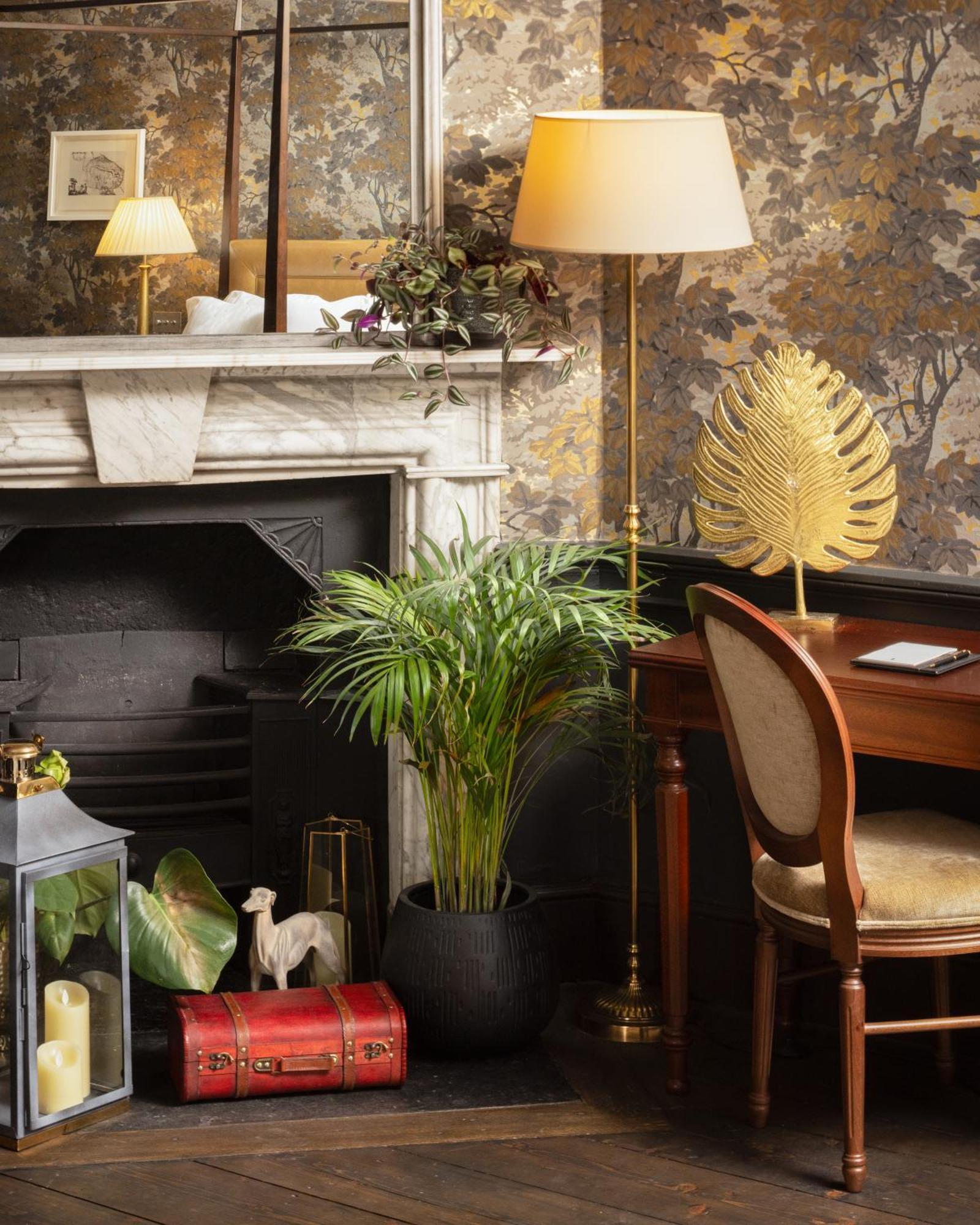 Carton House A Fairmont Managed Hotel Maynooth Exteriör bild A houseplant